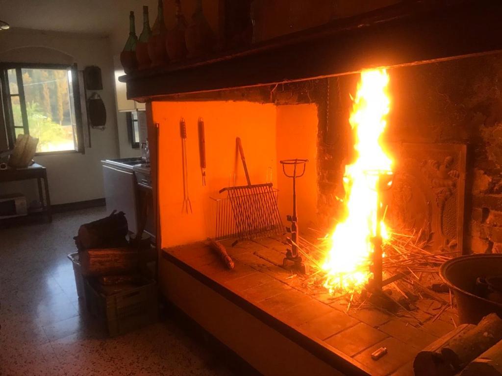 Casa Vacanze Podere Marilla Peccioli Екстер'єр фото